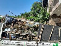 Best Scrap Metal Removal  in Mcnary, AZ